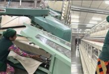 Photo of गैर-पारंपरिक भूमिकाओं में तेज़ी से बढ़ रही महिलाओं की मौजूदगी, अब कार्यस्थलों को भी बदलना होगा अपना नजरिया