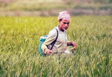 Photo of युद्ध के धुएँ में घुटता खेती का दम : क्या खाद्यान्न संकट की ओर बढ़ रहे भारत के कदम ?