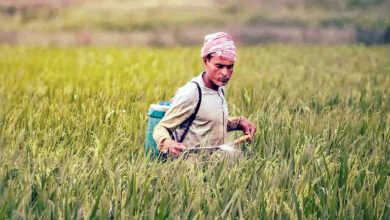 Photo of युद्ध के धुएँ में घुटता खेती का दम : क्या खाद्यान्न संकट की ओर बढ़ रहे भारत के कदम ?
