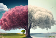 Photo of बदलती ऋतुओं का असंतुलन: जलवायु परिवर्तन और सर्दी–गर्मी के बिगड़ते समीकरण