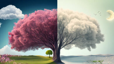 Photo of बदलती ऋतुओं का असंतुलन: जलवायु परिवर्तन और सर्दी–गर्मी के बिगड़ते समीकरण