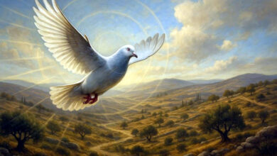 Photo of युद्ध विनाश का परिचायक, निर्माणों के रथो को चाहिए शांतिपथ