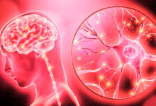 Photo of वैज्ञानिकों ने मानव मस्तिष्क के साथ संवाद करने में सक्षम पहला कृत्रिम न्यूरॉन बनाया