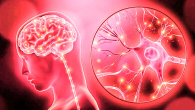 Photo of वैज्ञानिकों ने मानव मस्तिष्क के साथ संवाद करने में सक्षम पहला कृत्रिम न्यूरॉन बनाया