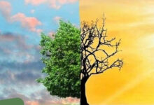 Photo of मौसम का विज्ञान: जो केवल बताता नहीं, जीवन बचाता है