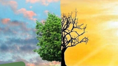 Photo of मौसम का विज्ञान: जो केवल बताता नहीं, जीवन बचाता है