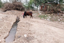 Photo of चंडीगढ़ : नाम बड़े दर्शन छोटे