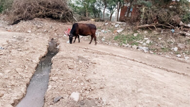 Photo of चंडीगढ़ : नाम बड़े दर्शन छोटे