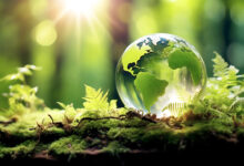 Photo of पर्यावरण संरक्षण और सतत विकास में पुनर्चक्रण की भूमिका