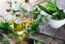 Photo of पौधों के वायरस: अज्ञात नायक जो दवाएं देते हैं और ट्यूमर को नष्ट करते हैं