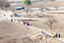 Photo of राजस्थान की स्थापना के 77 वर्षों के बाद भी जल संकट सहित कई समस्याओं से जूझ रहा है देश का विशाल प्रदेश 