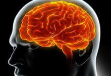 Photo of मौन स्मरण: आपका मस्तिष्क तब भी याद रखता है जब आप भूल जाते हैं