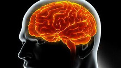 Photo of मौन स्मरण: आपका मस्तिष्क तब भी याद रखता है जब आप भूल जाते हैं