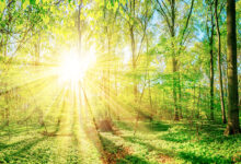 Photo of वैज्ञानिकों ने सूर्य के प्रकाश को ईंधन में बदलने का एक शक्तिशाली नया तरीका निकाला