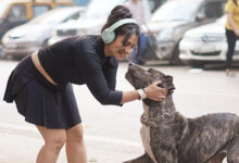 Photo of ‘सुपरगर्ल कारा’ संग तनीषा मुखर्जी की सुकून भरी सैर