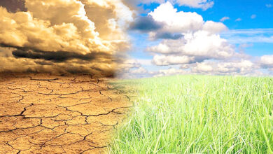 Photo of जलवायु परिवर्तन : मार्च में सर्दी-गर्मी का संग्राम: जलवायु परिवर्तन की चेतावनी