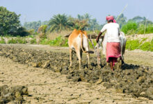 Photo of दुनिया से सीख कर हम भी बदल सकते हैं देश में किसान और मजदूर के हालात
