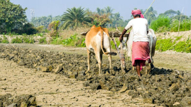 Photo of दुनिया से सीख कर हम भी बदल सकते हैं देश में किसान और मजदूर के हालात