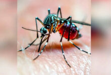Photo of सुरक्षित जीवन की दिशा में: मलेरिया मुक्त भविष्य का संकल्प