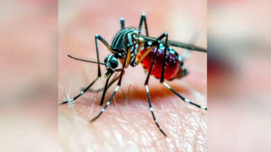Photo of सुरक्षित जीवन की दिशा में: मलेरिया मुक्त भविष्य का संकल्प