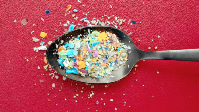 Photo of रैपिड टेस्ट से पता चला कि रोजमर्रा के भोजन में माइक्रोप्लास्टिक छिपा हुआ है