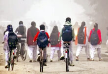 Photo of अधिकार बनाम हकीकत: क्या सच में मुफ्त हैं शिक्षा, स्वास्थ्य और न्याय?