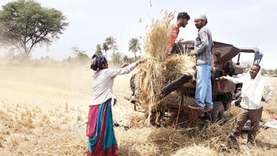 Photo of सुनहरे गेहूं की कहानी: प्राचीन रीति-रिवाजों से लेकर मशीन युग तक का एक बड़ा परिवर्तन