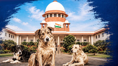 Photo of सह-अस्तित्व की तलाश: अदालती आदेशों और जमीनी हकीकत के बीच आखिर कैसे रेबीज-मुक्त और सुरक्षित बनेंगे हमारे शहर ?