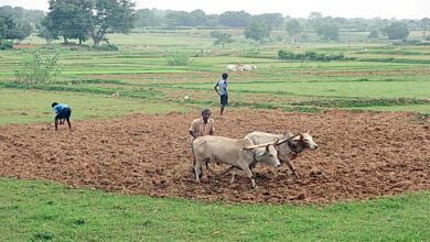 Photo of अन्न से ईंधन तक : आखिर किस दिशा में धकेली जा रही है भारतीय खेती?