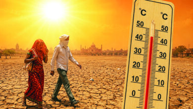 Photo of तपती धरती, झुलसता जीवन: हीटवेव की चुनौती