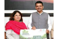 Photo of सरकार को सौंपे 5 लाख पौधे, ग्रीन गड़चिरोली मिशन को मिली नई उड़ान