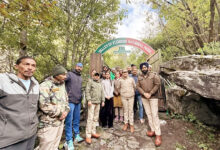 Photo of पर्यटकों के लिए खुल गयी “फूलों की घाटी”