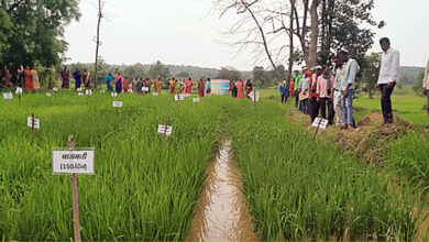 Photo of हरित पुनरुद्धार की ओर बढ़ते भारत के कदम