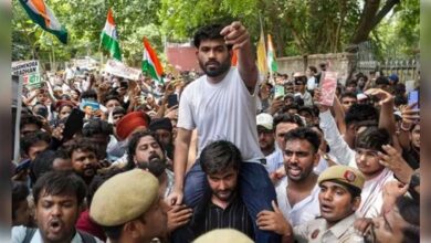 Photo of व्यवस्था के बाहर ही नहीं भीतर भी भरी है ‘कॉकरोच ‘