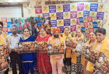 Photo of पम्मा के जनसंघर्षों पर आधारित 10वां गीत हुआ रिलीज