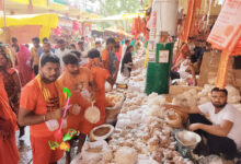 Photo of सावन के मेले: आस्था के साथ आजीविका का भी आधार