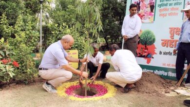 Photo of पर्यावरण संरक्षण हेतु नोएडा विकास प्राधिकरण की बड़ी पहल, 2,94,000 पौधे लगाए
