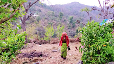 Photo of अधूरे विकास का नमूना : उत्तराखंड का पर्वतीय भूभाग