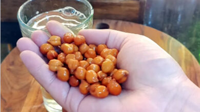 Photo of मुट्ठी भर चना, सेहत का खजाना