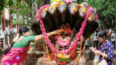 Photo of नाग पंचमी : प्रकृति के प्रति सम्मान और सह-अस्तित्व का पर्व