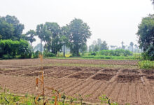 Photo of मौसम बदल रहा है और खेती का भरोसा भी