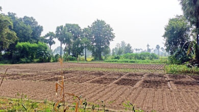 Photo of मौसम बदल रहा है और खेती का भरोसा भी