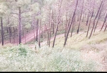 Photo of हिमाचल के सिरमौर जिले का नैना टिक्कर इलाका उभर रहा है लग्जरी टूरिज्म डेस्टिनेशन के रूप में