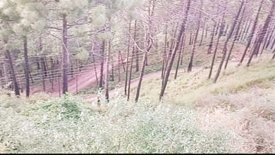 Photo of हिमाचल के सिरमौर जिले का नैना टिक्कर इलाका उभर रहा है लग्जरी टूरिज्म डेस्टिनेशन के रूप में